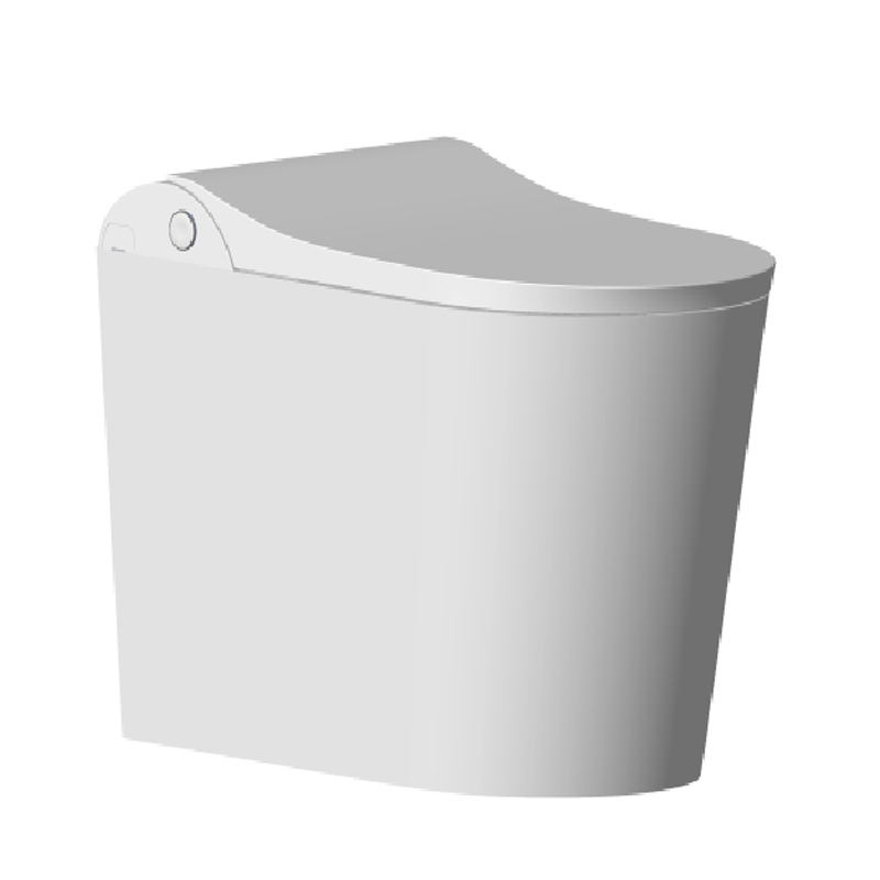 ZY06 Smart Toilet