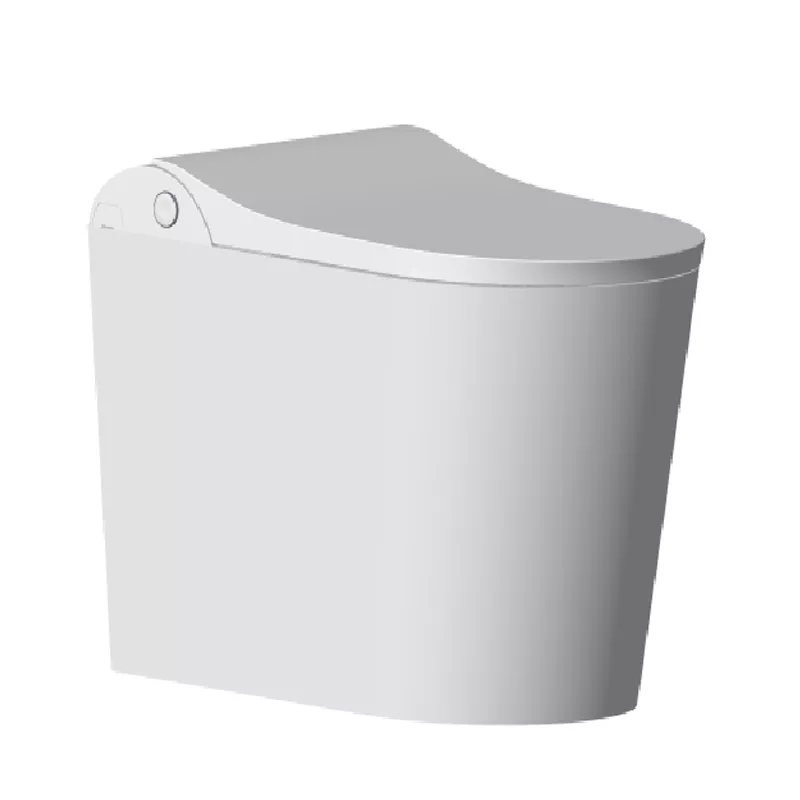 ZY06 Smart Toilet