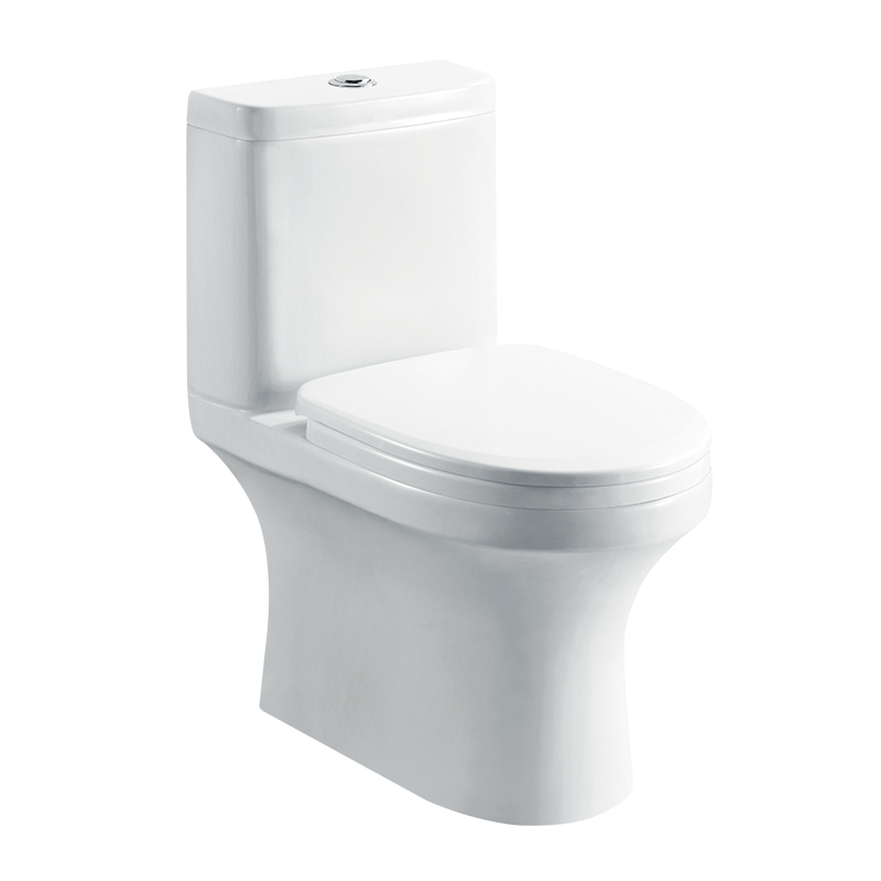 1221 One-piece Toilet