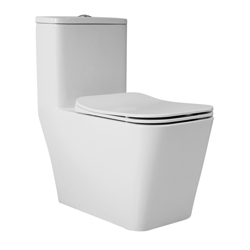 1231 One-piece Toilet