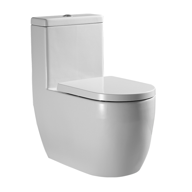 1232 One-piece Toilet