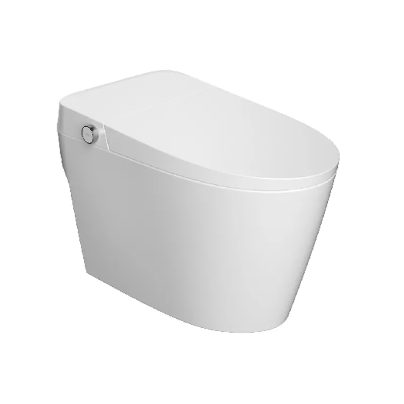 ZY02 Smart Toilet