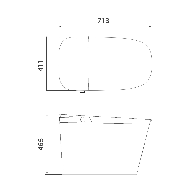 ZY07 Smart Toilet