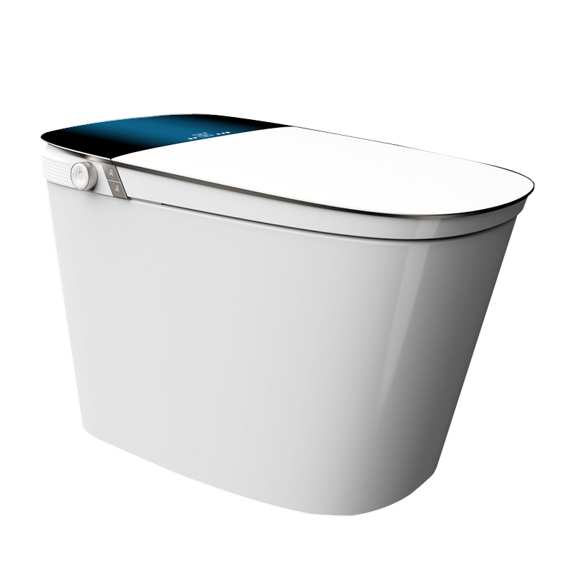 ZY07 Smart Toilet