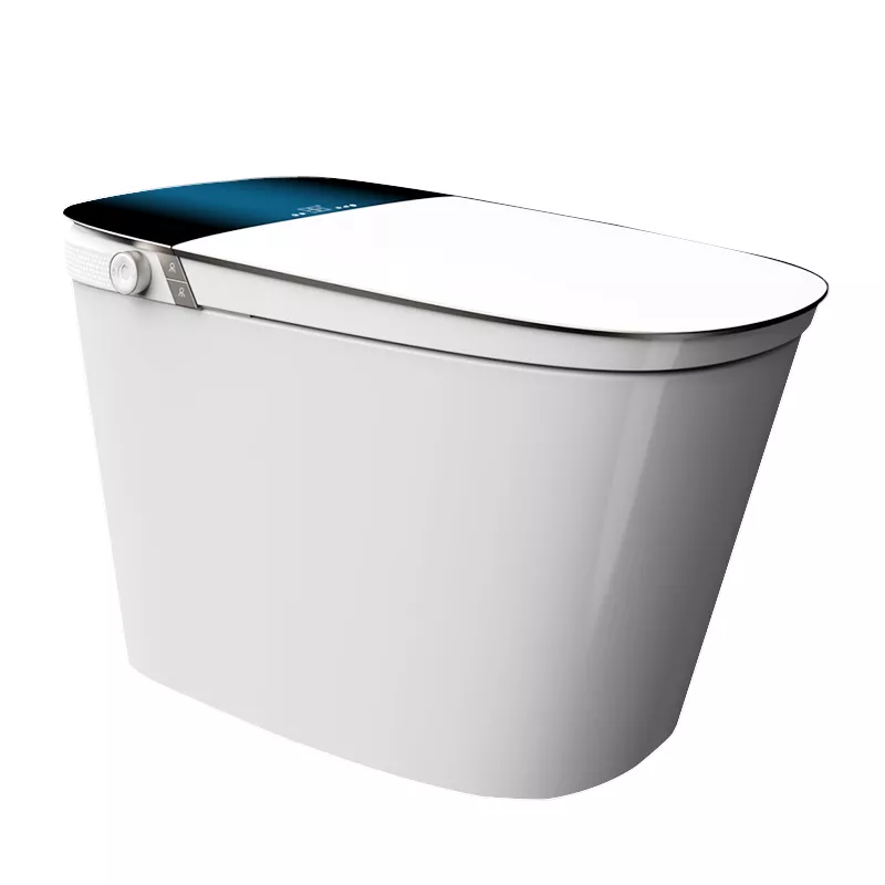 ZY07 Smart Toilet