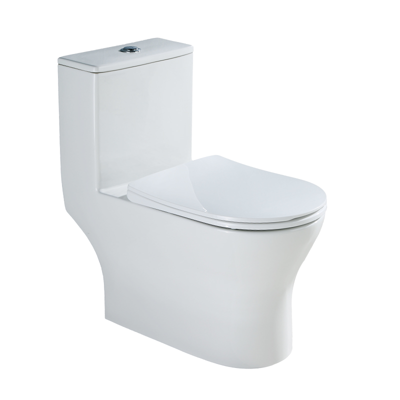 1251 One-piece Toilet
