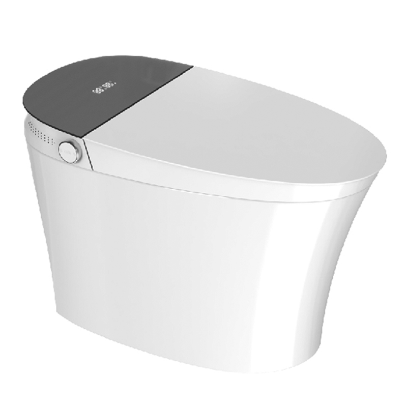 ZY08 Smart Toilet