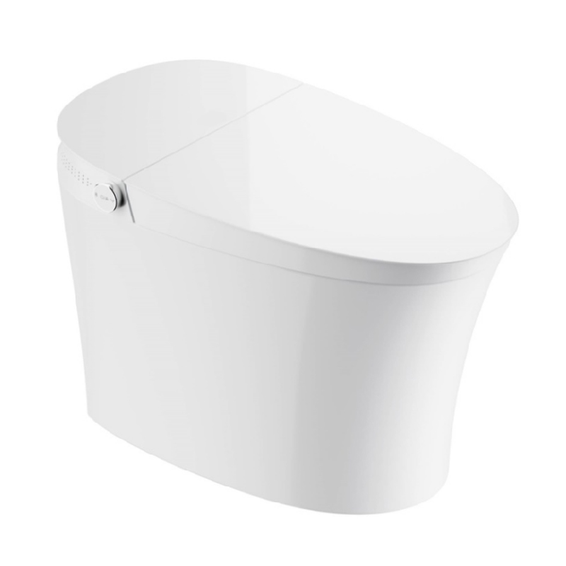 ZY08 Smart Toilet