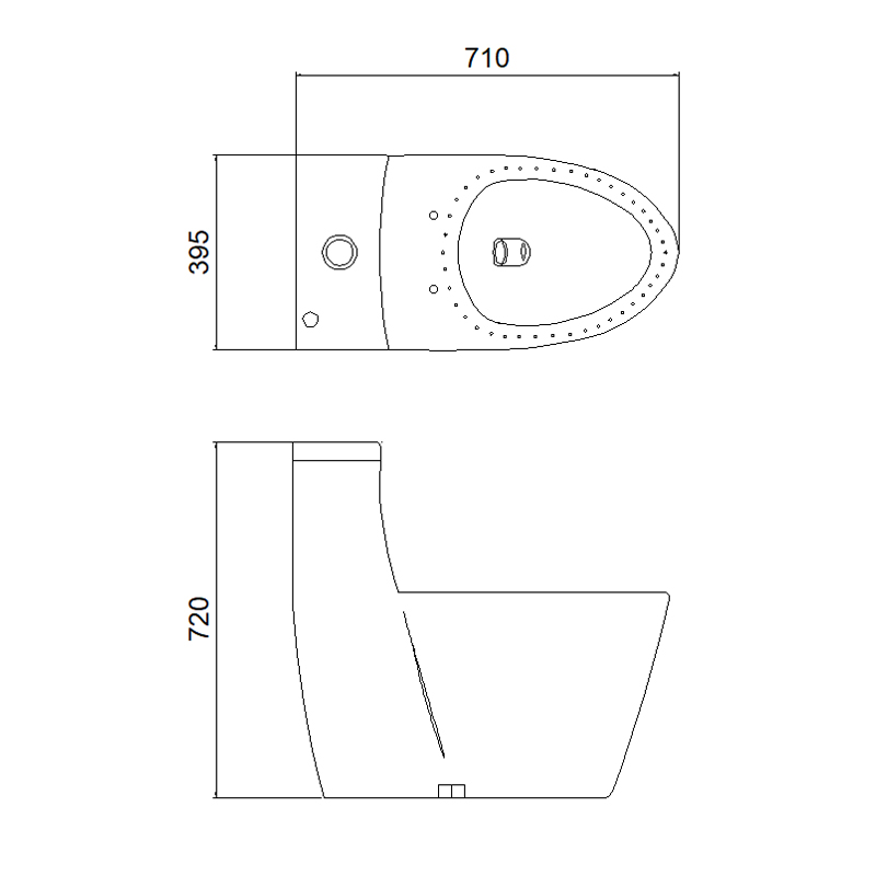 1309 One-piece Toilet