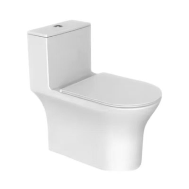 6068 One-piece Toilet