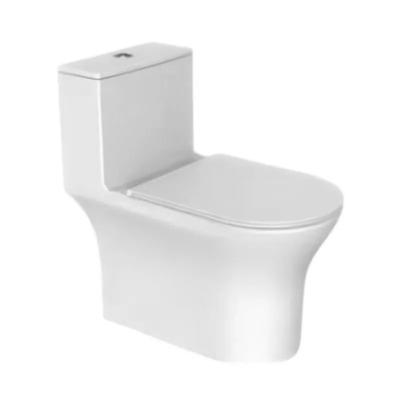 6068 One-piece Toilet