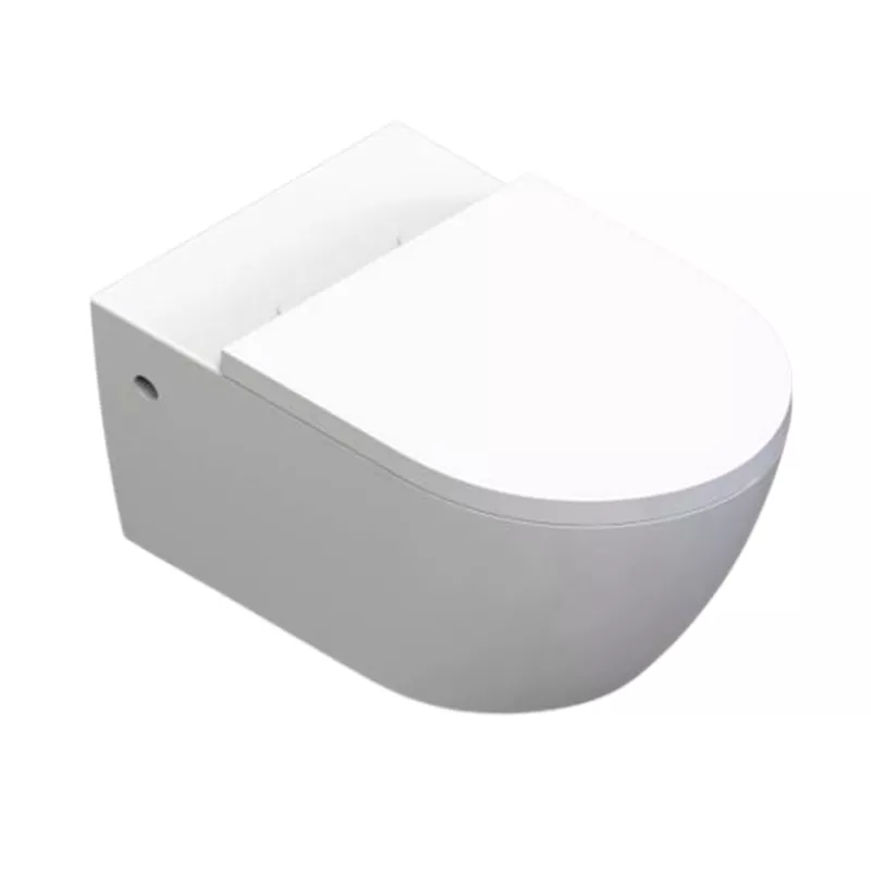 2011G Wall-hung Toilet
