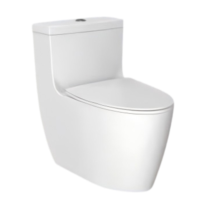 6069 One-piece Toilet