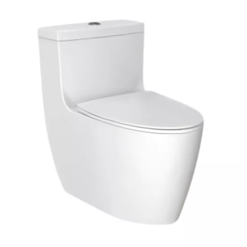 6069 One-piece Toilet
