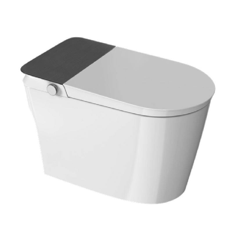ZY09 Smart Toilet