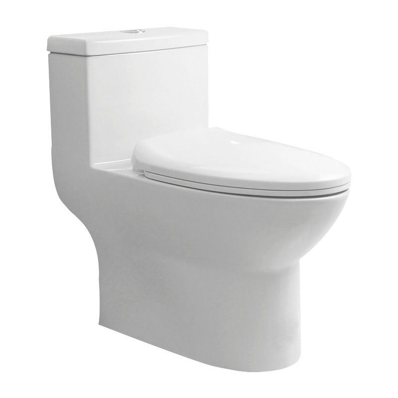 1521 One-piece Toilet