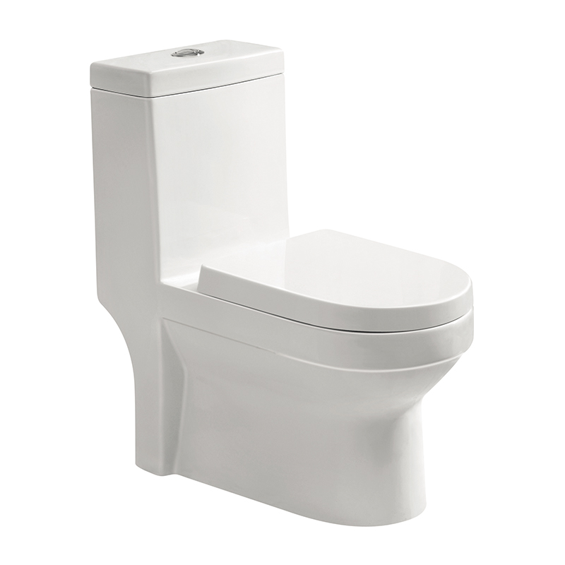 1206 One-piece Toilet