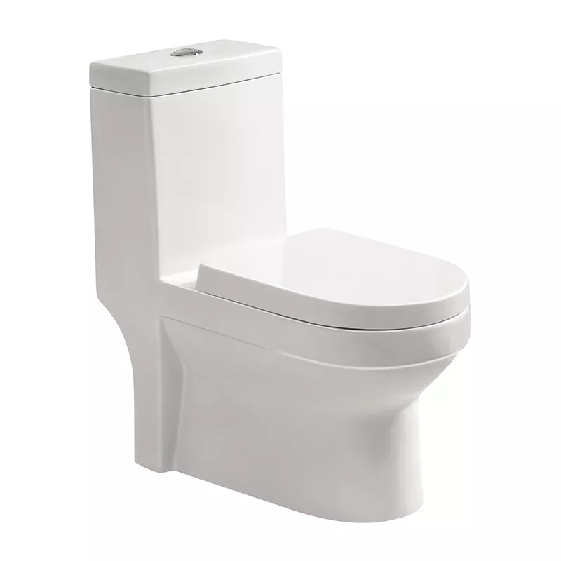 1206 One-piece Toilet