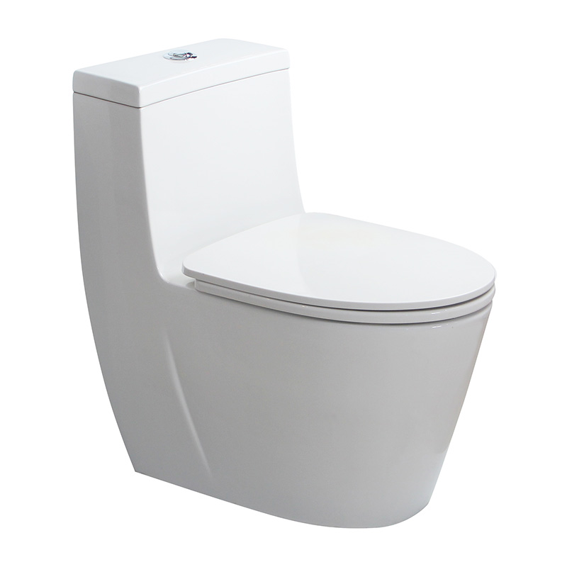 1309 One-piece Toilet