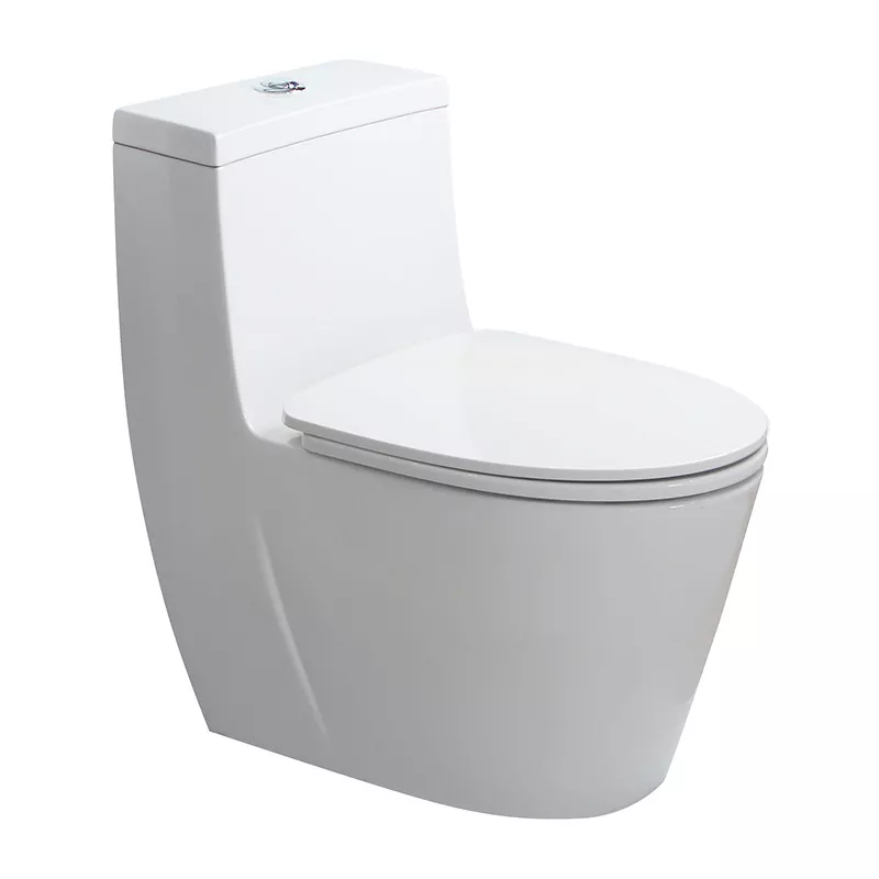 1309 One-piece Toilet