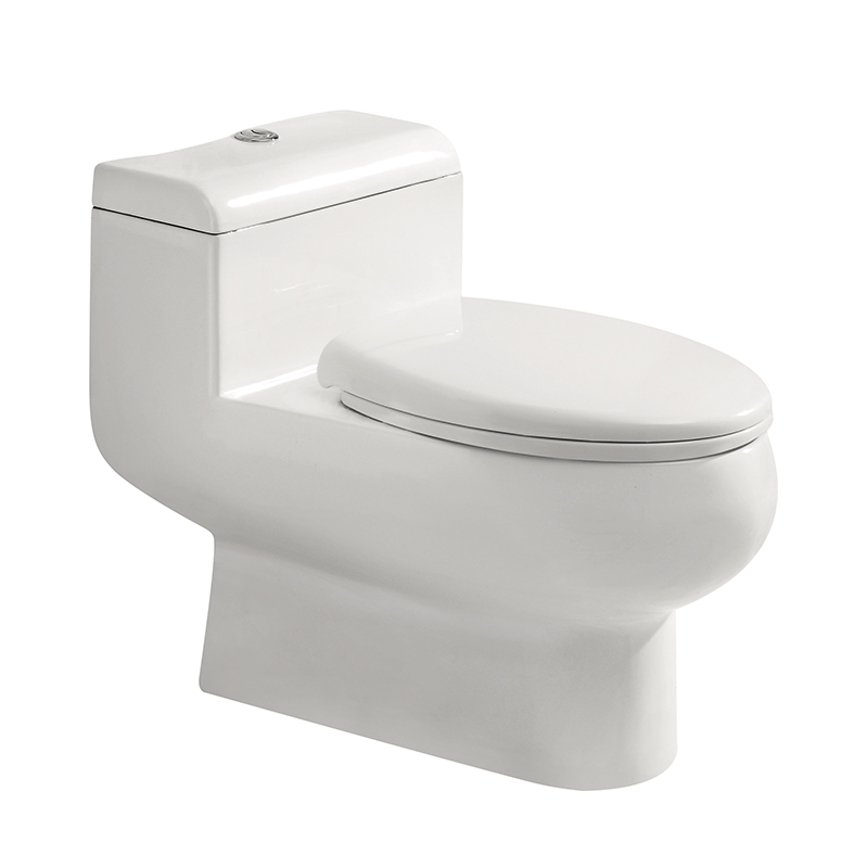 1205 One-piece Toilet