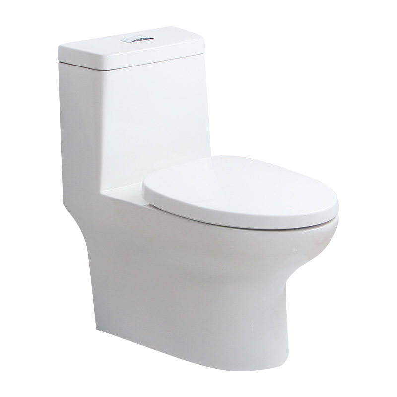 1308 One-piece Toilet