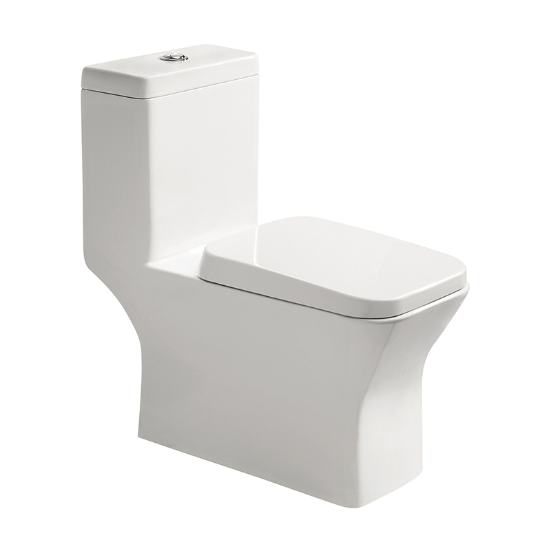 1011 One-piece Toilet