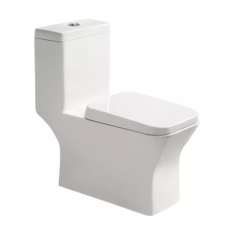 1011 One-piece Toilet