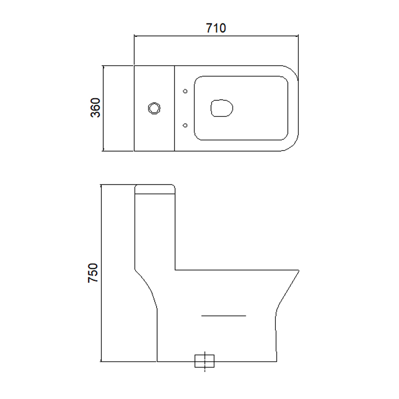 1011 One-piece Toilet