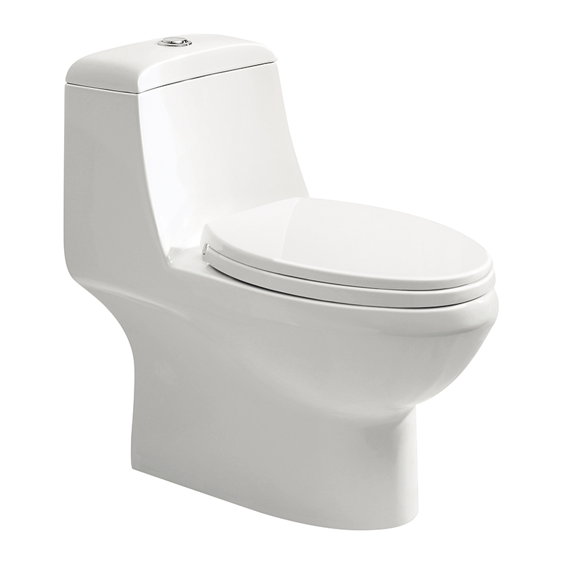 1210 One-piece Toilet