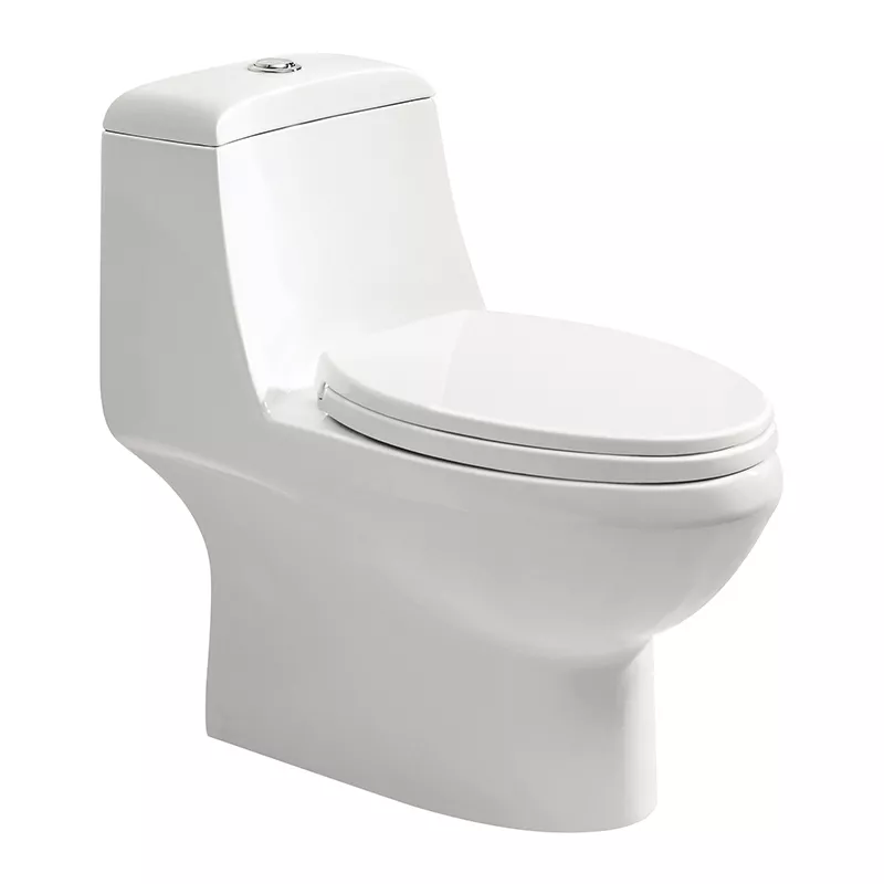 1210 One-piece Toilet