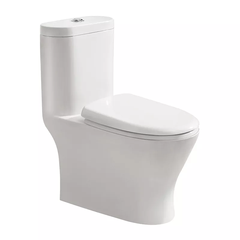1219 One-piece Toilet